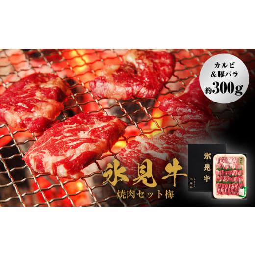 ふるさと納税 富山県 氷見市 氷見牛焼肉セット梅（カルビ＆豚バラ約300g）（2月お届け）