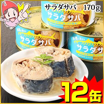 サバ 缶詰 さば缶 サラダサバ 170g×12缶