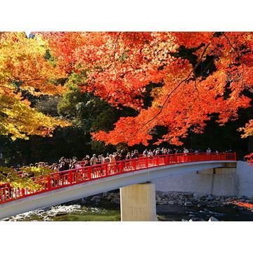 百年草 ZiZi工房ぬくもりセット~足助の里 手作りハム工房~