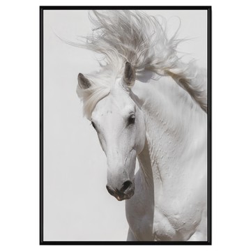 菠蘿選畫所 白馬掛畫 無束 ANSS3411B 40 x 30cm 簡約風格壁掛裝飾  黑色