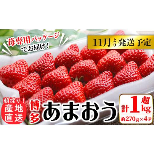 ふるさと納税 福岡県 春日市 ＜予約受付中！2023年11月下旬より順次発送予定＞農家直送 朝採り新鮮いちご(計1080g・約270g×4P) …