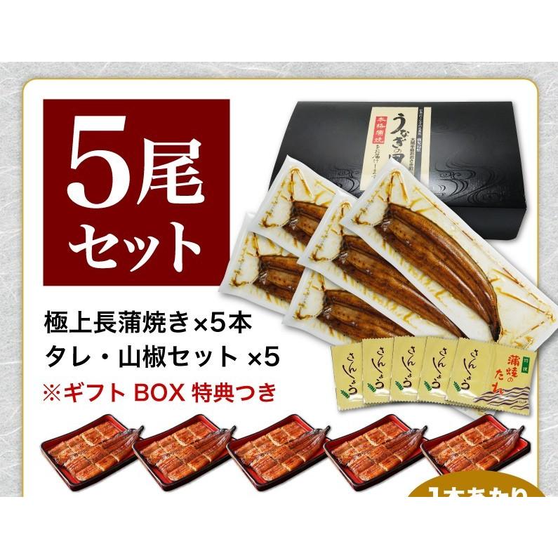 父の日 プレゼント ギフト うなぎ  食べ物 蒲焼き 国産 鹿児島産 長蒲焼き5本セット 約110g×5 ギフトBOX 送料無料 70代 クール