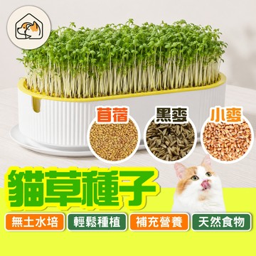《家有毛孩🐾》水培貓草種子 貓草盆栽種子 貓草種子 小麥草種子 貓咪排毛 貓咪用品 貓草種植種子 貓咪化毛 寵物用品