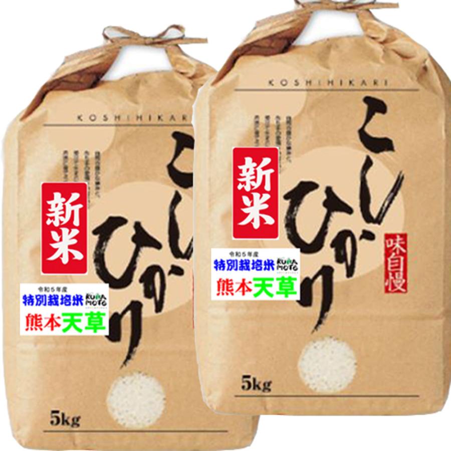 新米 令和5年産 特別栽培米 天草 コシヒカリ 10kg  (5kg×2袋) 熊本県 JAあまくさ産 玄米 白米 7分づき 5分づき 3分づき 出荷日精米