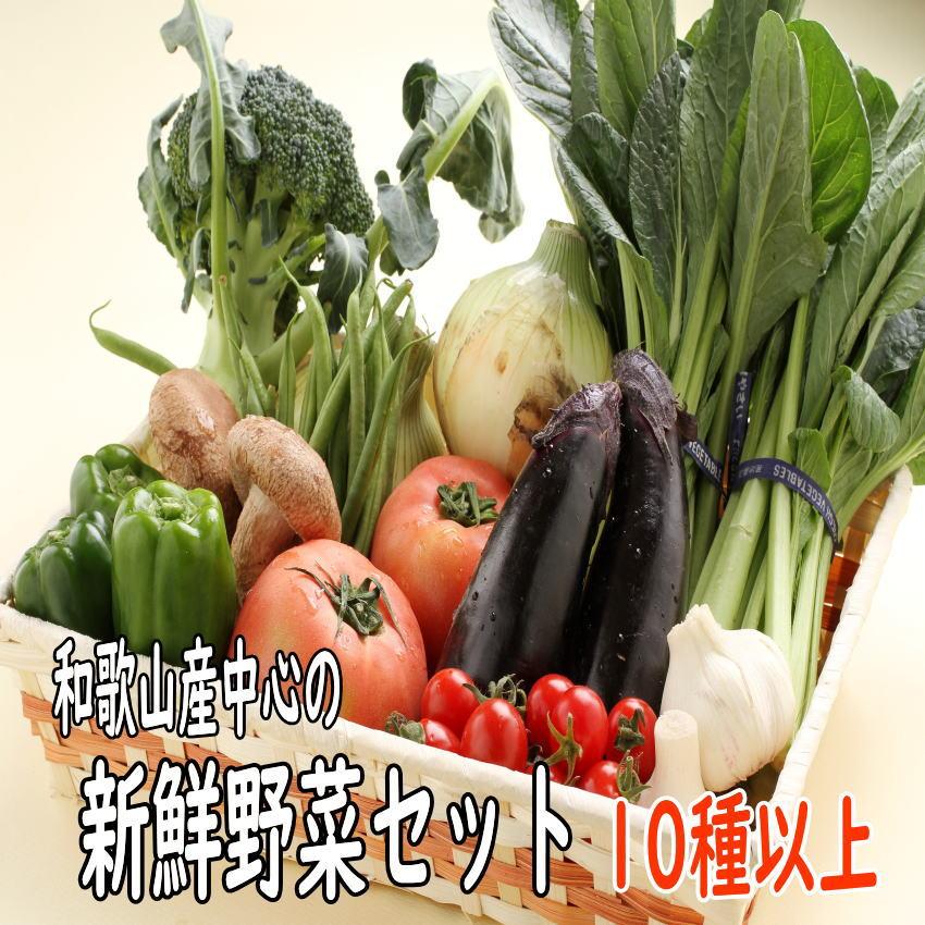 野菜詰め合わせ 新鮮旬の野菜セット 10種以上 和歌山産中心 送料無料