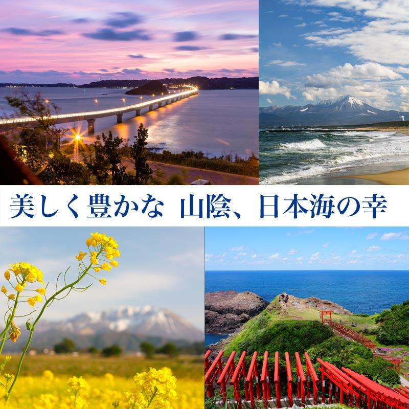 ギフト 60代 70代 80代 のどぐろ 入り 国産 干物セット 干物 6品 島根県産 送料無料 セール プレゼント お歳暮 食品 魚