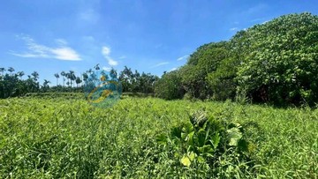 內埔豐田老街/近台1線/國3/住宅區建地｜屏東縣內埔鄉振豐段