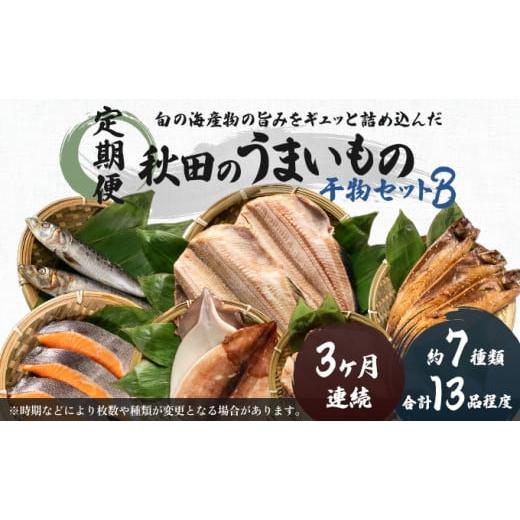 ふるさと納税 秋田県 にかほ市 《定期便》3ヶ月連続 干物セット 13品程度(7種類程度）「秋田のうまいものセットB」