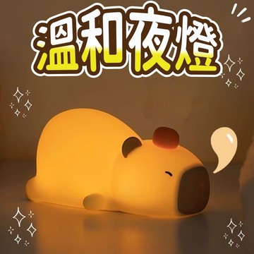 低價秒殺💡夜燈小海豚 拍拍燈 矽膠小夜燈 睡眠燈 LED燈 USB充電 床頭燈【凡事良選】療癒燈 臥室燈 嬰兒房 氣氛燈