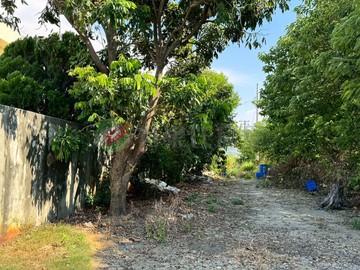 和美✅臨路方正角地丁種建築用地✅稀有釋出｜彰化縣和美鎮大嘉段