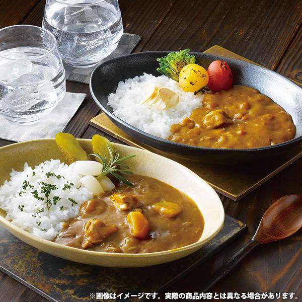 内祝い お返し カレー お歳暮 2023 ギフト レトルト セット 佐賀牛 ありた鶏カレー 欧風カレー ありた鶏和風だしカレー 中辛 計4食 大正屋 椎葉山荘 TC-20 (10)