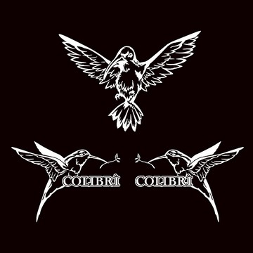 蜂鳥 反光貼紙 車貼 簍空無底 機車貼紙 汽車貼紙 防水耐曬