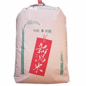 新米 越後の米 令和5年産 新潟県産 つきあかり 2等 玄米 30kg (白米 無洗米加工 保存包装 選択可）新米 つきあかり 2等 新米