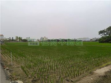 彰化交流道產業創新區段徵收農地｜彰化縣和美鎮嘉安段