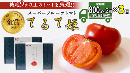  てるて姫 小箱 約800g × 2箱  糖度9度 以上 野菜 フルーツトマト フルーツ トマト とまと [AF053ci]