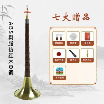 【熱銷爆款】嗩吶初學者D調高音專業入門喇叭仿黑檀木仿烏木紅木