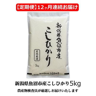 ふるさと納税 魚沼市 農産物検査員おすすめ.魚沼産こしひかり(精米)5kg,12ヶ月全12回