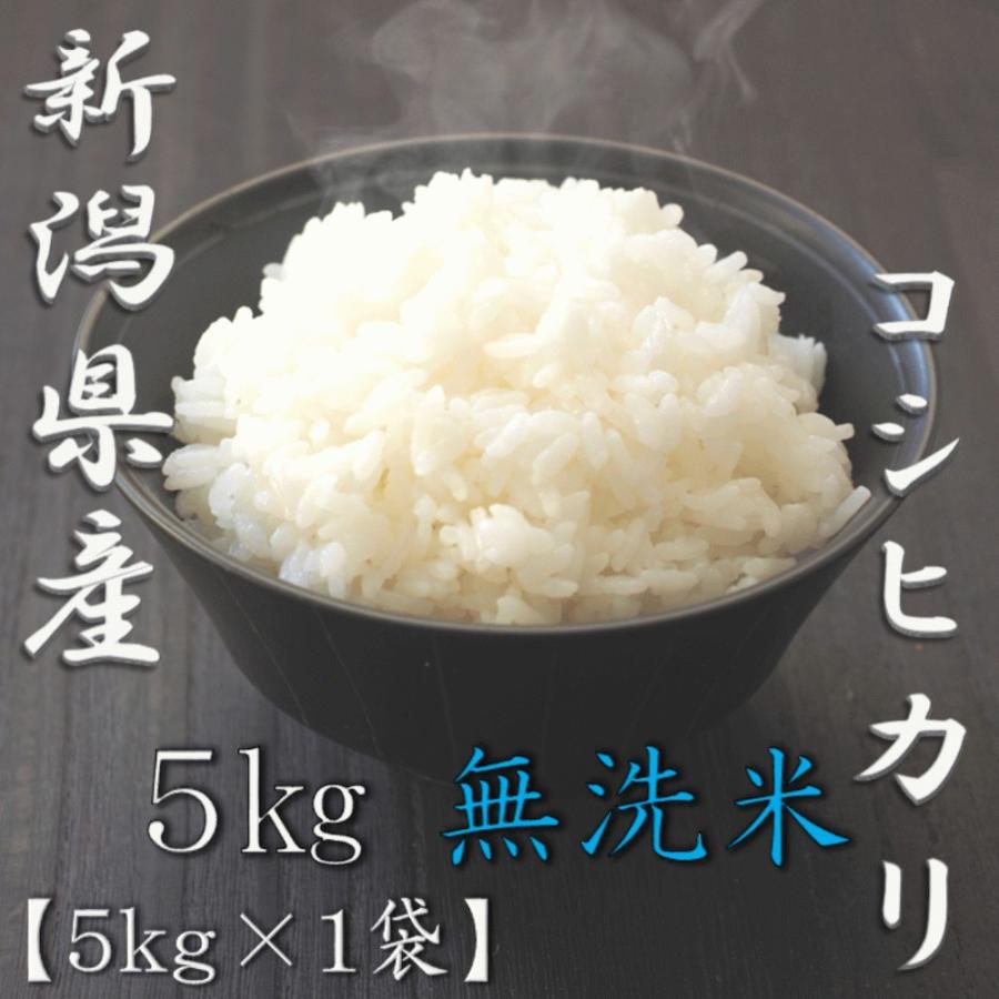 新米 無洗米 新潟県産コシヒカリ 5kg