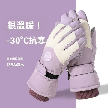 💒臺灣熱銷🐬滑雪手套 男女冬季加厚加絨保暖手套 防風禦寒防水戶外開車騎行手套 觸屏防丟手套 男女通用防風禦寒手套 RK2
