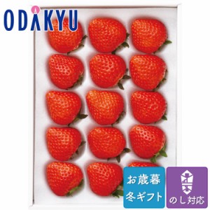 お歳暮 送料無料 2023 いちご フルーツ 果物 京橋 千疋屋 国産苺 15粒 ※沖縄・離島へは届不可
