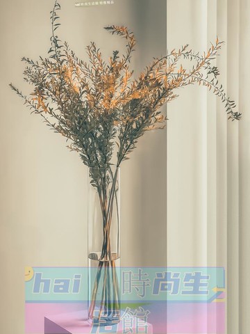 免運 可開發票 玻璃花瓶 高花瓶插花長枝玻璃透明高身細長細高高筒高款超高405060cm落地