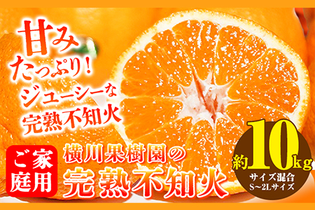 完熟 不知火(デコ) 約10kg S～2L 家庭用 サイズ混合 横川果樹園 《3月中旬-4月末頃より順次出荷》 和歌山県 日高川町 不知火 みかん 果物 柑橘 フルーツ 送料無料---wshg_ykkd_bc3_22_18000_10kg---