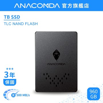 【隔日到貨】巨蟒 SSD 960GB SATA III 內接式 固態硬碟｜TB