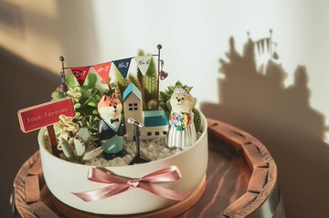 【竒植花物】可愛仙人掌多肉盆栽 生日禮物 情人節/結婚禮物