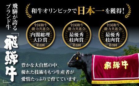 白川郷 飛騨牛 サーロインステーキ 200g×1枚 リブロースステーキ 200g×1枚 計400g 食べ比べ セット 牛肉 和牛 ステーキ 国産 肉 霜降り サーロイン A4等級以上 A4 A5 贅沢 冷凍 27000円 [S376]