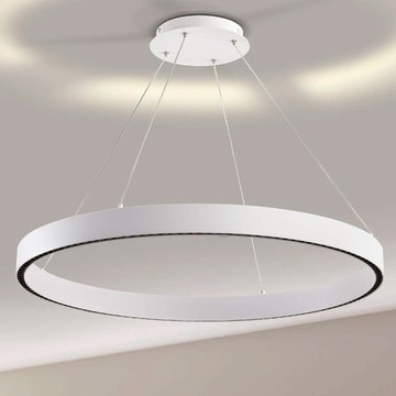 LED 38W、45W遙控吊燈 H06-16-20221、20222