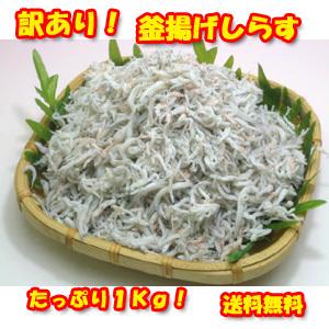 釜揚げしらす 愛媛県産 訳あり業務用 1kg　送料無料 釜揚げ　釜揚　しらす