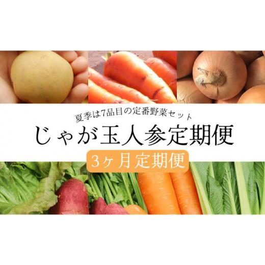 ふるさと納税 長崎県 大村市  じゃが玉人参セット 約5kg じゃがいも・玉ねぎ・人参の定番野菜 3品目の野菜詰め合わせ 夏季は7〜8品目 野菜…