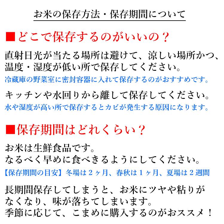 お米 コシヒカリ 精白米 5kg 会津産 送料無料 令和5年産 2023年産 こしひかり 米 こめ 精米