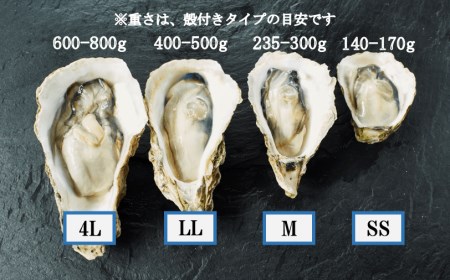 ブランド岩牡蠣「春香」殻なしタイプ Mサイズ×10個（1.6kg～2.2kg）