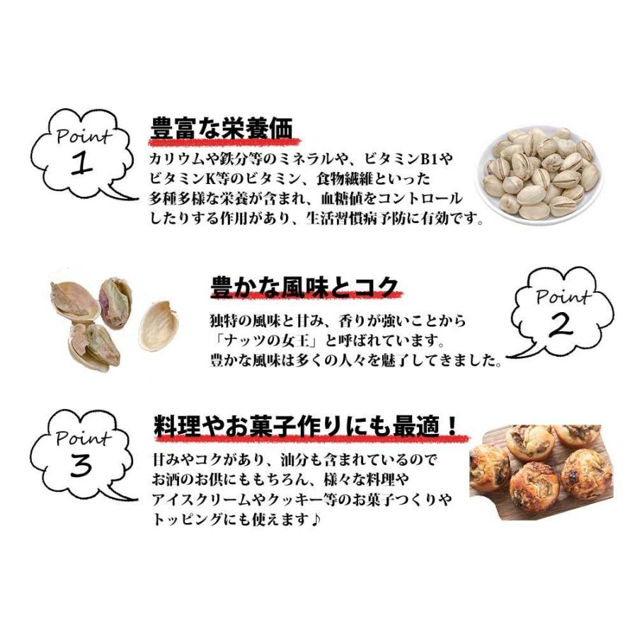 ナッツロースト ピスタチオ 殻付き (塩味付)スペイン産 250g