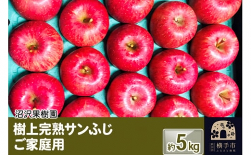 樹上完熟サンふじ ご家庭用 約5kg（13～23玉前後）