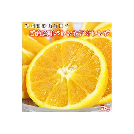 ふるさと納税 希少な国産バレンシアオレンジ 7kg ※2024年6月下旬〜7月上旬頃に順次発送予定 和歌山県美浜町