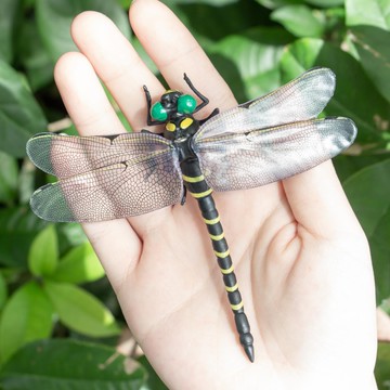 日本代購 - 超仿真蜻蜓君別針/吊飾-無霸勾蜓-黑x黃 (12x10.5cm)