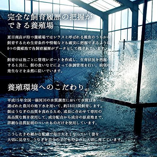 うなぎの夏目商店 国産 豊橋うなぎ 白焼き 特々大211-249g×4尾 (約8人前) 岩塩付 [簡易箱]