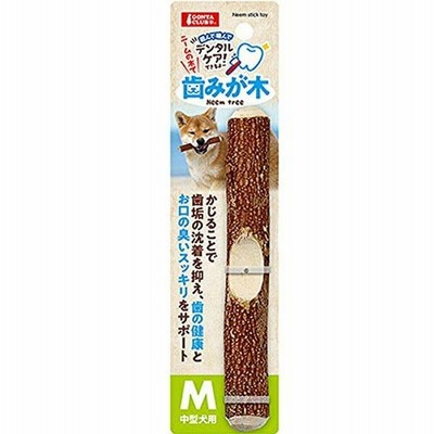 歯みが木 M