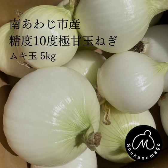 野菜 玉ねぎ 糖度10度極甘玉ねぎ ムキ玉5kg 産地直送