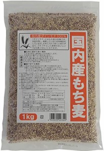 種商 国内産もち麦(ダイシモチ) 1kg