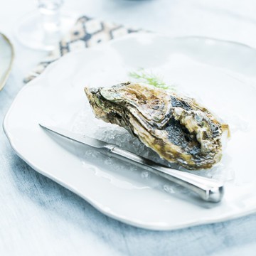 朵頤盤子創意不規則盤家用歐式陶瓷沙拉盤菜盤平盤淺盤碗碟點心盤1入