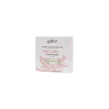 Galeo 南法香氛世家_香氛巧克力_木芍藥