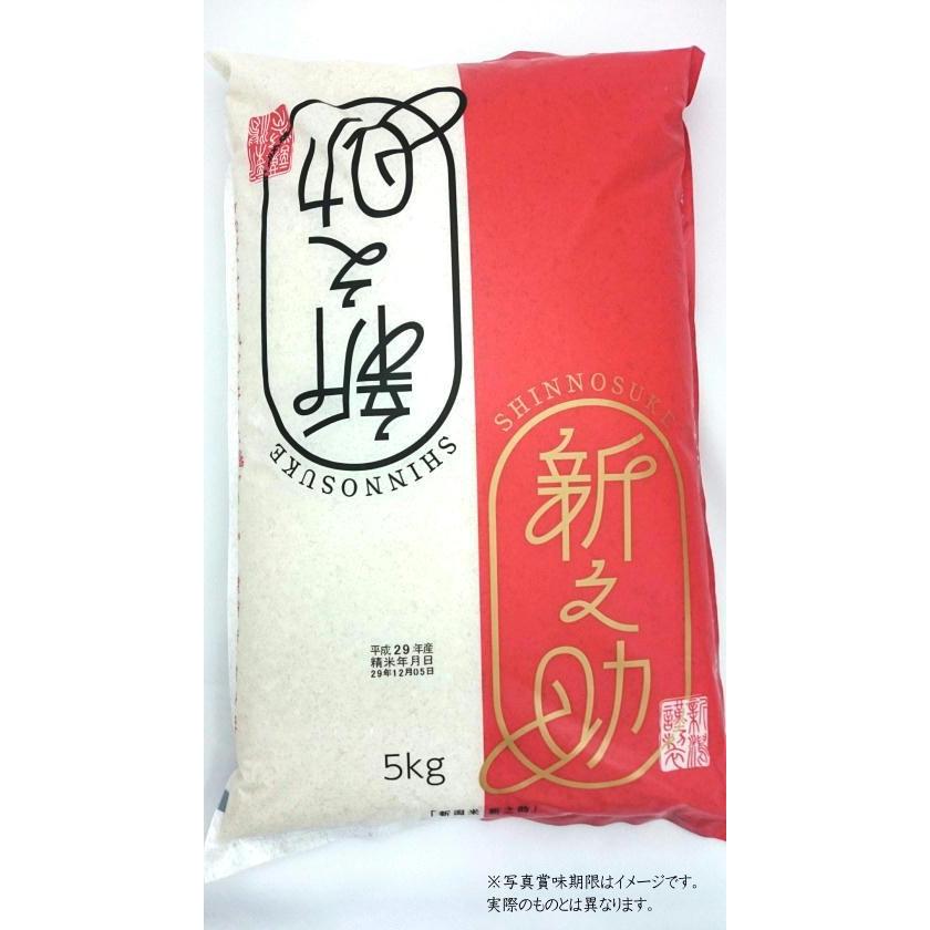 令和4年産 新潟県産 新之助 10kg (5kg×2袋)  産地直送