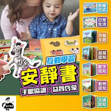 【條子背背】安靜書 蒙式教育學習書 黏貼書 手撕書 安靜書魔鬼氈 learn book 益智安靜書 蒙氏教育學習書