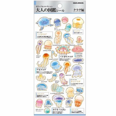 カミオジャパン　大人図鑑シール　07285　クラゲ│ファイル　クリアホルダー ハンズ
