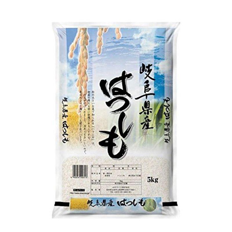 みのライス 精米 岐阜県産ハツシモ 5kg 令和4年産