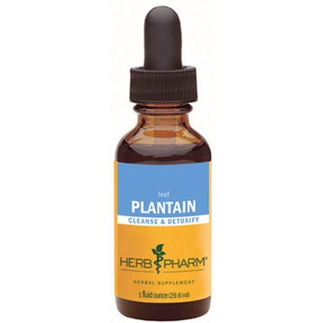Plantain Extract 4 Oz by Herb Pharm