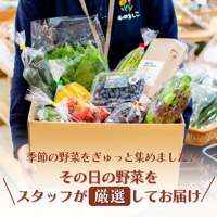 AA008＜12ヶ月定期便＞旬の採れたてぜいたく野菜セット（卵付き）4人用